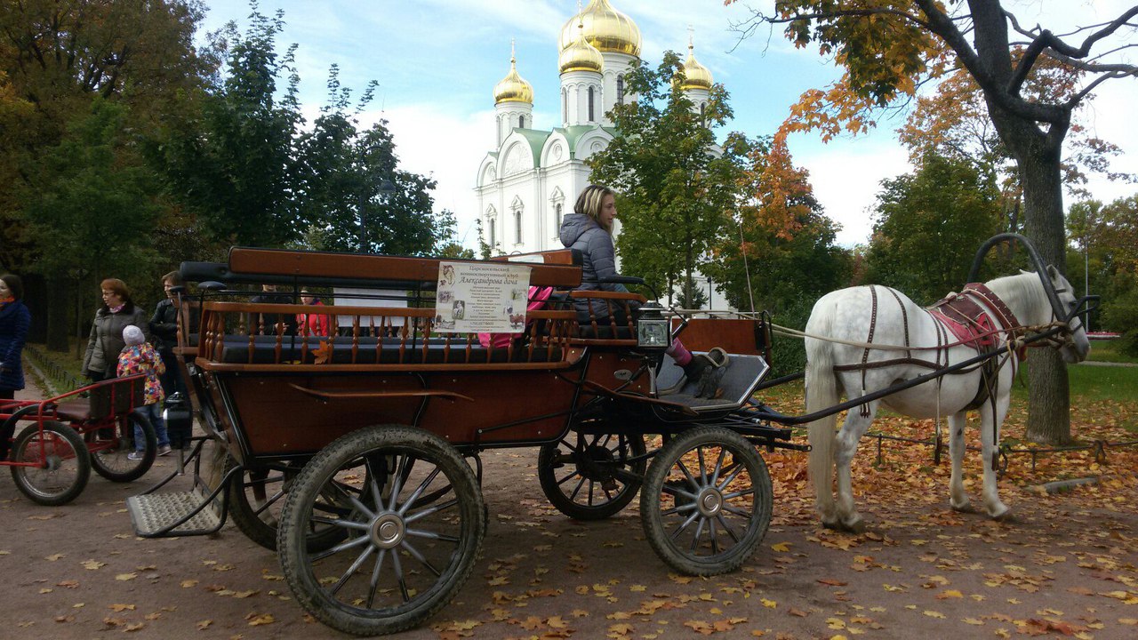 Аренда экипажей